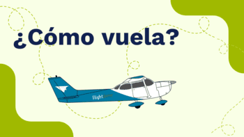 Principio de Bernoulli: ¿Por qué vuelan los aviones?